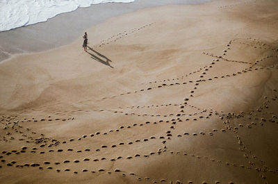 High angle view of sandy beach on sunny day