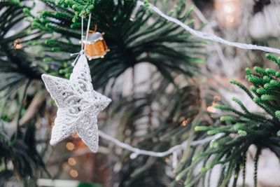 Close-up of christmas decoration hanging on tree