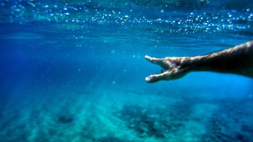 Cropped image of person swimming underwater