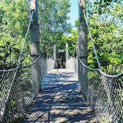 View of footbridge along trees