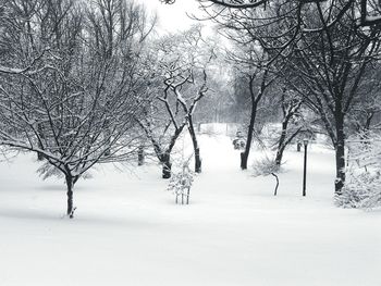 Bare trees on snow covered landscape