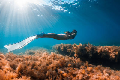 Low section of man swimming in sea