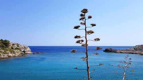 Scenic view of sea against clear blue sky