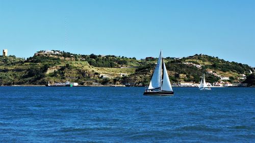 Sailboat sailing on sea against clear sky