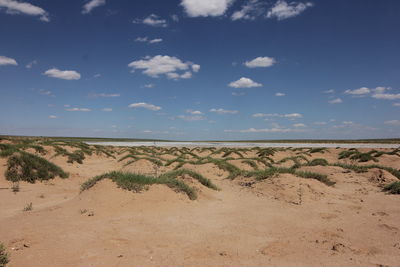 Scenic view of beach against sky