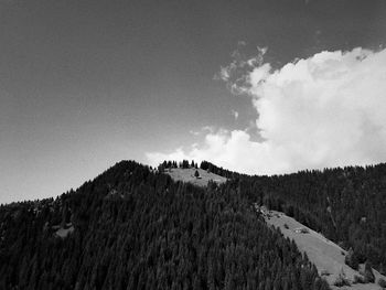 Panoramic view of land against sky