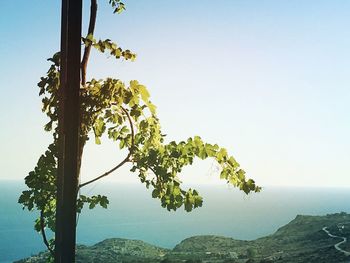 Scenic view of landscape against clear sky