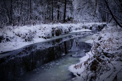 Scenic view of frozen river in forest during winter