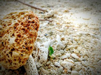 Close-up of rocks at beach