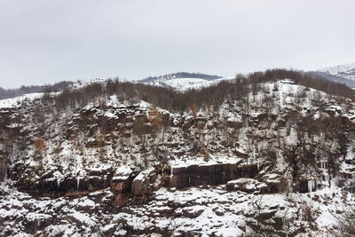 Snow covered trees and buildings against sky