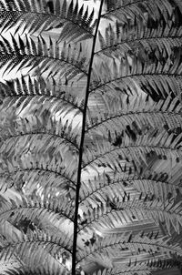 Full frame shot of patterned metal