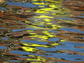 Reflection of trees in water