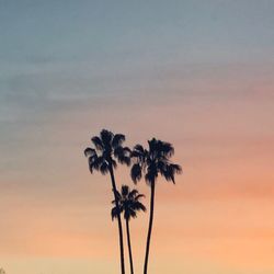 Silhouette palm trees against romantic sky at sunset