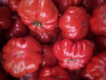 Full frame shot of red tomatoes