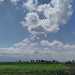 Scenic view of agricultural field against sky