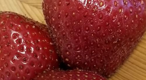 Close-up of strawberry