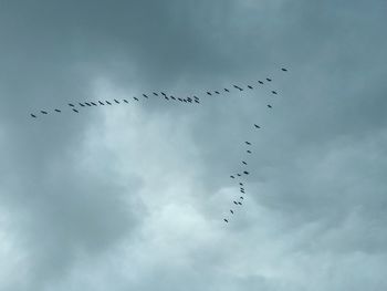 Low angle view of migrating birds flying against sky