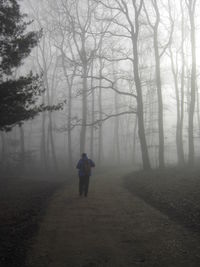 Rear view of man walking in forest