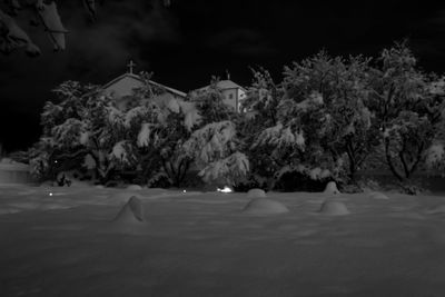 Trees by illuminated building against sky at night