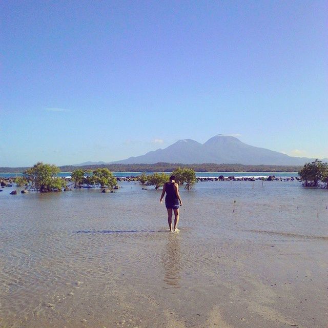 clear sky, water, copy space, rear view, full length, lifestyles, leisure activity, beach, tranquil scene, walking, tranquility, scenics, sea, blue, beauty in nature, standing, person, nature