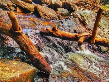 Scenic view of rock formation in forest