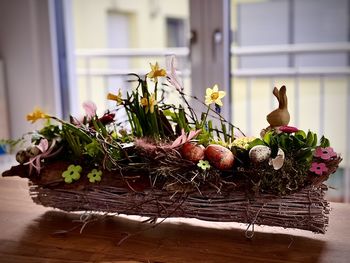 Close-up of potted plants in basket on table