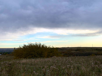 Scenic view of field against sky during sunset