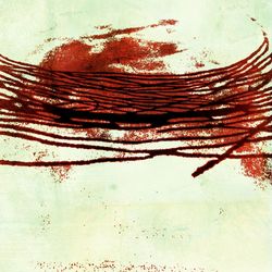 Close-up of red wall