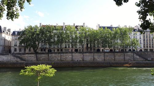 Plants growing by river against sky