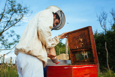 Side view of beekeeper examining beehive on land