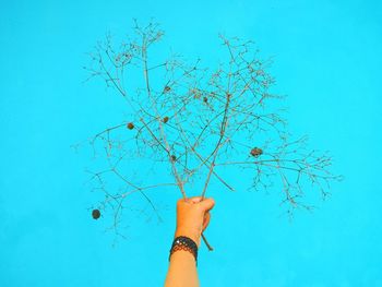 Hand holding plant against blue sky