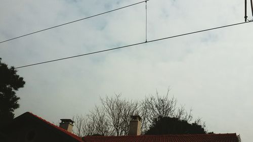Low angle view of birds against sky