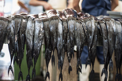 Close-up of fish for sale in market