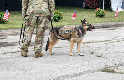A soldier walks his military dog on a leash, both man and animal in uniform during an event