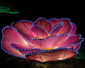 Close-up of illuminated christmas decorations at night