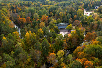 High angle view of trees in forest during autumn