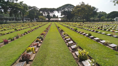 Panoramic view of cemetery