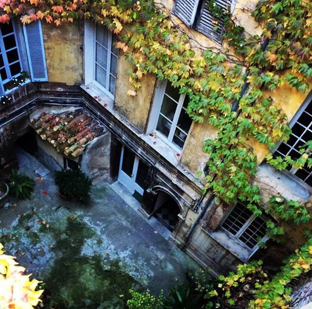 building exterior, architecture, built structure, window, house, plant, residential building, residential structure, building, reflection, growth, leaf, tree, ivy, day, outdoors, front or back yard, glass - material, no people, creeper plant