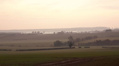 Scenic view of agricultural field against sky during sunset