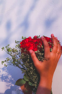 Midsection of person holding red flowering plant