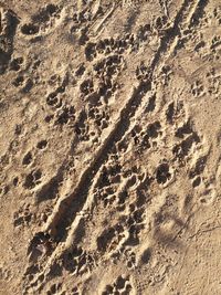 High angle view of footprints on sand at beach