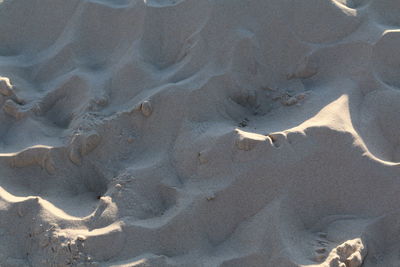 High angle view of sand dune on beach