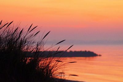 Scenic view of sunset