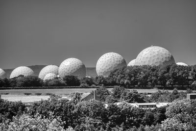 Plants growing on field against clear sky