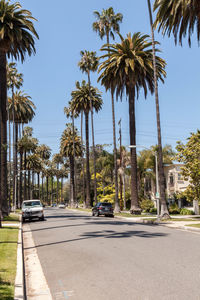 Road amidst palm trees against sky on sunny day