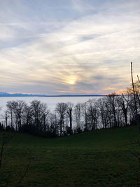 Scenic view of field against sky during sunset