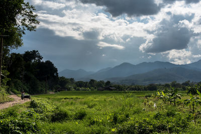 Scenic view of field against sky