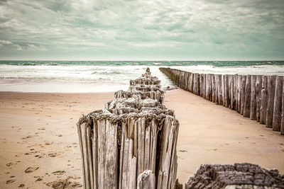 Wooden posts on beach against sky