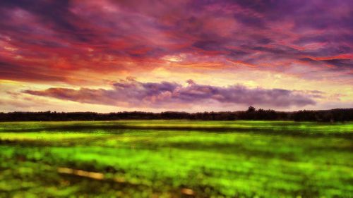 Scenic view of field against cloudy sky