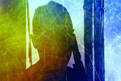 Close-up of multi colored leaves